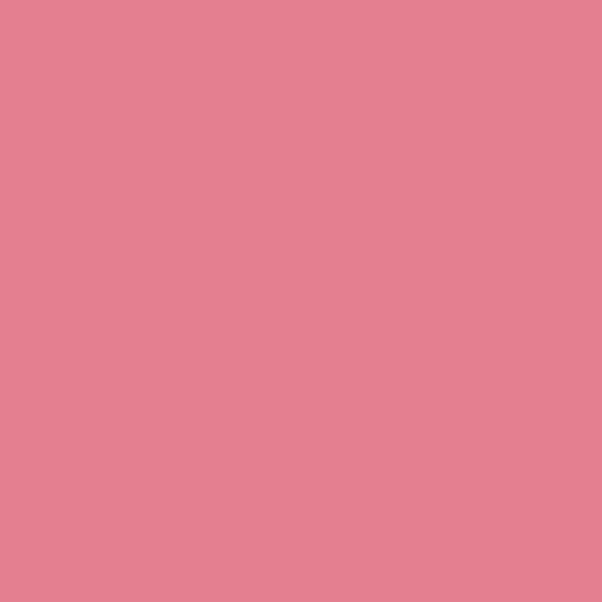 Pink Starburst 2004-40